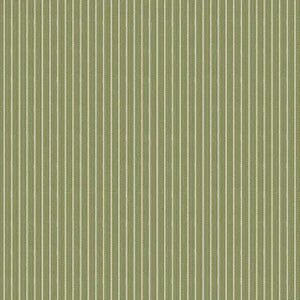 Creating Memories Stripe Green - 25cm (PRE ORDER)