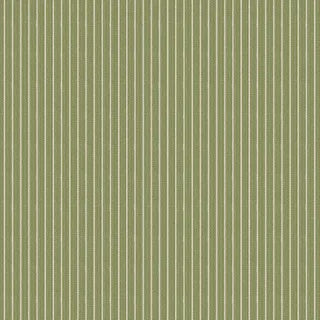 Creating Memories Stripe Green - 25cm (PRE ORDER)